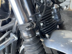 gCAtgCAt{lrT100iQɗ\sj摜5