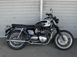 gCAtgCAt{lrT100iQɗ\sj摜1