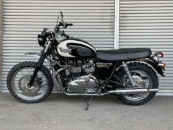 gCAtgCAt{lrT100iQɗ\sj摜2