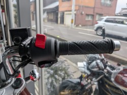 �z���_�����L�[125�i���쌧�ω����s�j�摜7