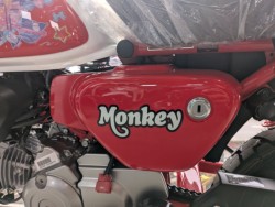 �z���_�����L�[125�i���쌧�ω����s�j�摜10