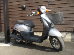 �z���_Today�i���쌧���̌S���쒬�j�摜1