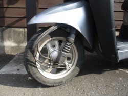 �z���_Today�i���쌧���̌S���쒬�j�摜12