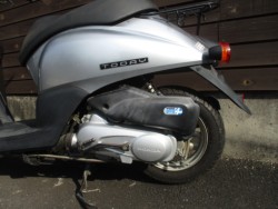 �z���_Today�i���쌧���̌S���쒬�j�摜15