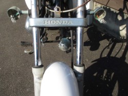 p[cp[c ̑i쌧̌S쒬j摜3