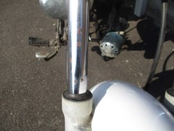 p[cp[c ̑i쌧̌S쒬j摜4