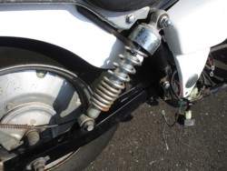 p[cp[c ̑i쌧̌S쒬j摜10