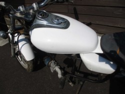 p[cp[c ̑i쌧̌S쒬j摜16