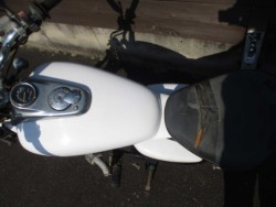 p[cp[c ̑i쌧̌S쒬j摜17