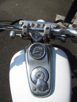 p[cp[c ̑i쌧̌S쒬j摜18