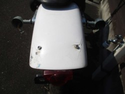 p[cp[c ̑i쌧̌S쒬j摜24