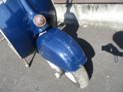 p[cp[ci쌧̌S쒬j摜4