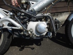 UbNX}_Xi쌧̌S쒬j摜8