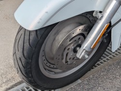 �n�[���[�n�[���[�_�r�b�h�\��FLSTF �t�@�b�g�{�[�C�i���쌧��o�s�j�摜15