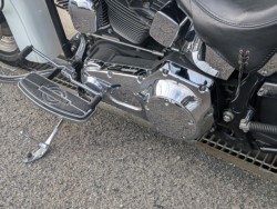 �n�[���[�n�[���[�_�r�b�h�\��FLSTF �t�@�b�g�{�[�C�i���쌧��o�s�j�摜19