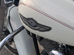 �n�[���[�n�[���[�_�r�b�h�\��FLSTF �t�@�b�g�{�[�C�i���쌧��o�s�j�摜20