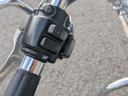 �n�[���[�n�[���[�_�r�b�h�\��FLSTF �t�@�b�g�{�[�C�i���쌧��o�s�j�摜23