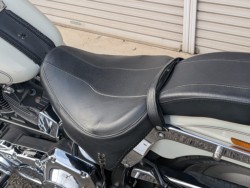 �n�[���[�n�[���[�_�r�b�h�\��FLSTF �t�@�b�g�{�[�C�i���쌧��o�s�j�摜27