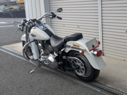 �n�[���[�n�[���[�_�r�b�h�\��FLSTF �t�@�b�g�{�[�C�i���쌧��o�s�j�摜28