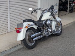 �n�[���[�n�[���[�_�r�b�h�\��FLSTF �t�@�b�g�{�[�C�i���쌧��o�s�j�摜2