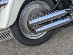 �n�[���[�n�[���[�_�r�b�h�\��FLSTF �t�@�b�g�{�[�C�i���쌧��o�s�j�摜3