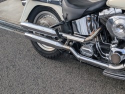 �n�[���[�n�[���[�_�r�b�h�\��FLSTF �t�@�b�g�{�[�C�i���쌧��o�s�j�摜10