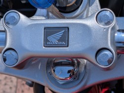 �z���_�����L�[125�i���쌧�����s�j�摜22