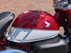 �z���_�����L�[125�i���쌧�����s�j�摜24