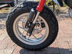 �z���_�����L�[125�i���쌧�����s�j�摜26