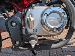 �z���_�����L�[125�i���쌧�����s�j�摜49