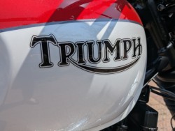 �g���C�A���t�g���C�A���t�E�{���l�r��T120�i���쌧�����s�j�摜29