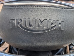 �g���C�A���t�g���C�A���t�E�{���l�r��T120�i���쌧�����s�j�摜30