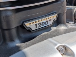 �g���C�A���t�g���C�A���t�E�{���l�r��T120�i���쌧�����s�j�摜48