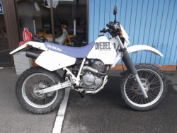 XYLWFx250i쌧sj摜1