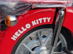 �z���_�X�[�p�[�J�u110�i���쌧���̌S�F���Ò��j�摜8