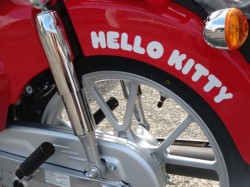 �z���_�X�[�p�[�J�u110�i���쌧���̌S�F���Ò��j�摜9