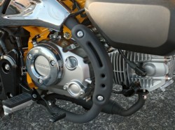 �z���_�����L�[125�i���쌧���̌S�F���Ò��j�摜9