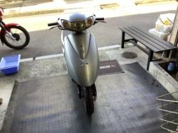 z_fBIiQRsj摜1