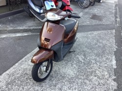 �z���_�^�N�g�E�x�[�V�b�N�i���Q�����R�s�j�摜2