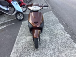 �z���_�^�N�g�E�x�[�V�b�N�i���Q�����R�s�j�摜3