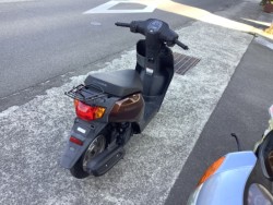 �z���_�^�N�g�E�x�[�V�b�N�i���Q�����R�s�j�摜5