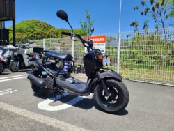 �z���_&nbsp;�Y�[�}�[ 