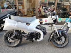 �z���_�_�b�N�X125�i���Q�����R�s�j�摜1