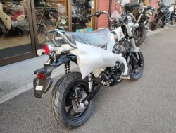 �z���_�_�b�N�X125�i���Q�����R�s�j�摜3