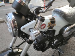 �z���_�_�b�N�X125�i���Q�����R�s�j�摜6