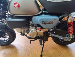 �z���_�����L�[125�i���Q�����R�s�j�摜11