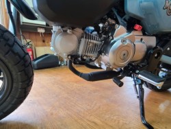 �z���_�����L�[125�i���Q�����R�s�j�摜13