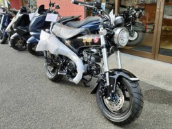 �z���_�_�b�N�X125�i���Q�����R�s�j�摜2