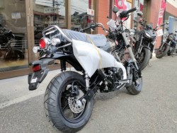 �z���_�_�b�N�X125�i���Q�����R�s�j�摜3