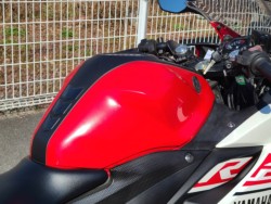 ���}�nYZF-R25�i���Q�����R�s�j�摜24